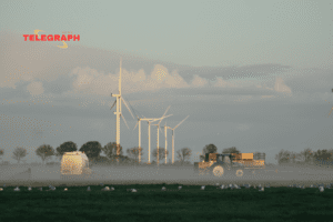 ‘Smart Cameras’ To Stop Bird Deaths From Wind Turbines 🇳🇱